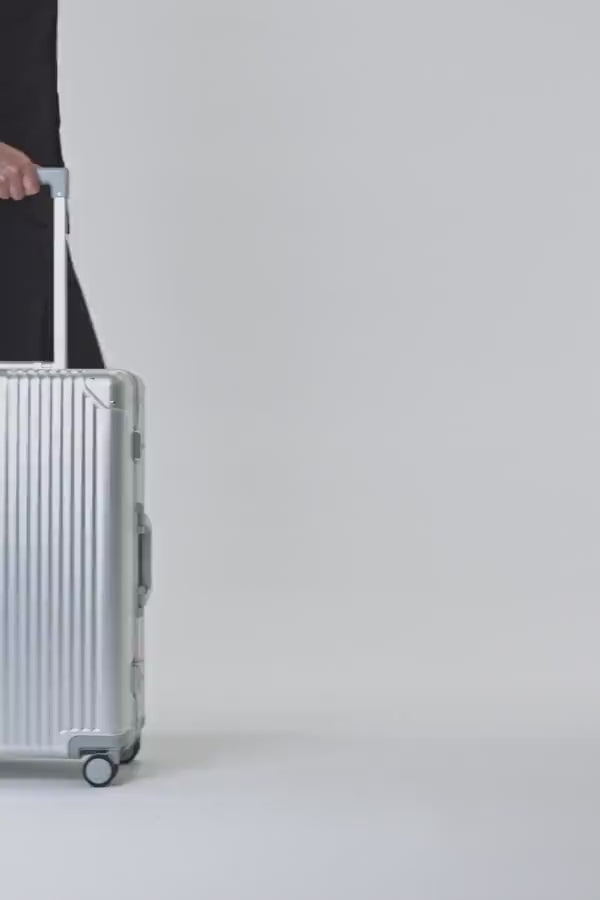 ALVISTA GENUINE M シルバー イメージ動画