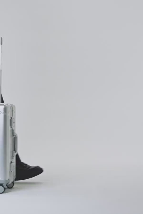 ALVISTA GENUINE シルバー イメージ動画